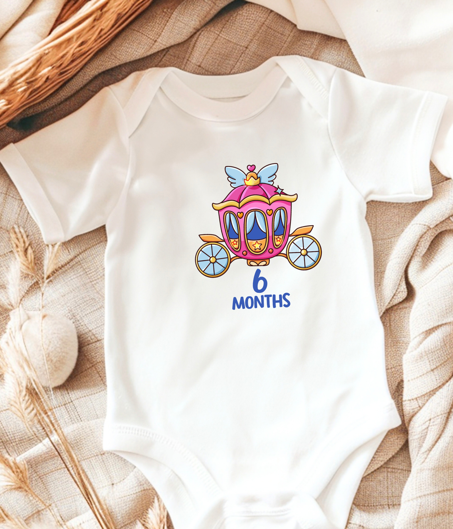 6 Month Baby Bodysuit  – Princess Carriage Milestone Bodysuit, Cute Baby Girl Outfit, Six Month Baby Clothes, Monthly Milestone Shirt